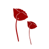 Coquelicots - Lot de 2